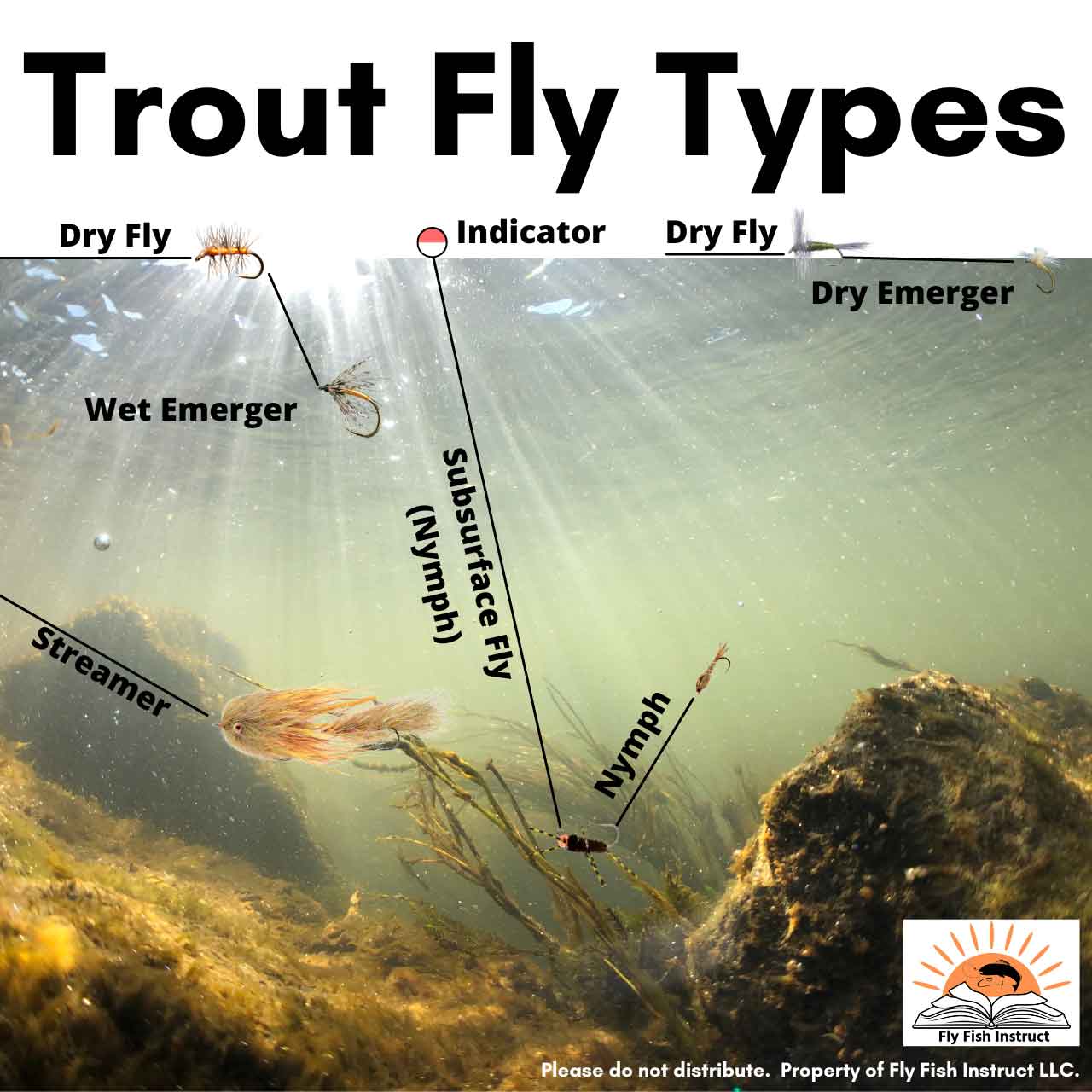 Intro to Types of Trout Flies Fly Fish Instruct